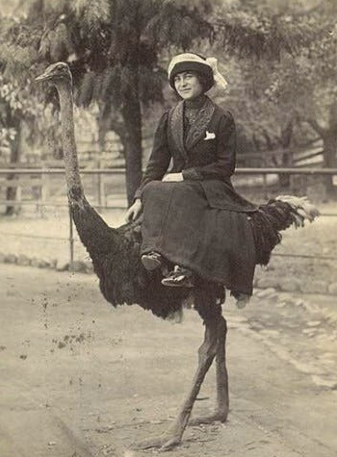 A woman and her ostrich steed
